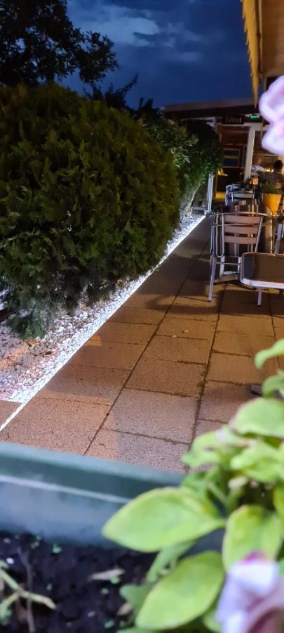 Pensiunea Zodiac Timişoara Buitenkant foto