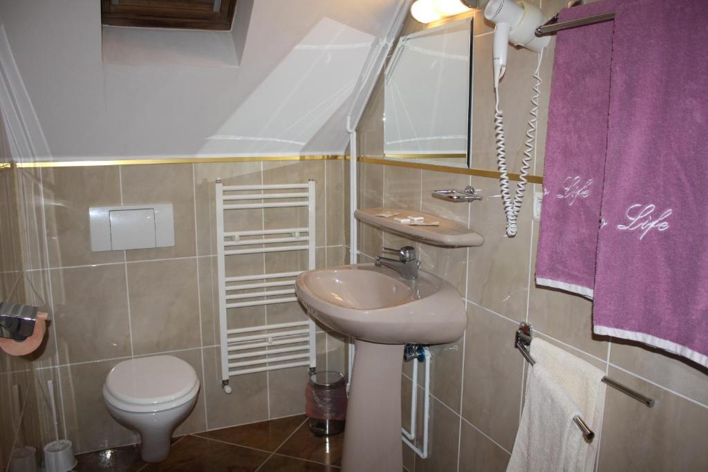 Pensiunea Zodiac Timişoara Kamer foto
